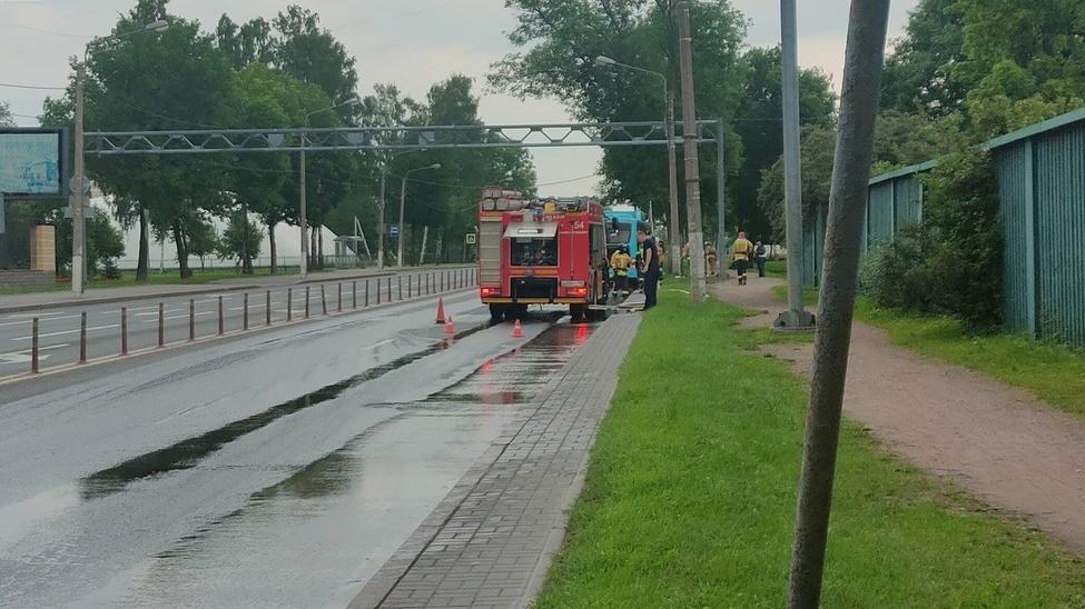 Фото: vk.com/vestystrelnu