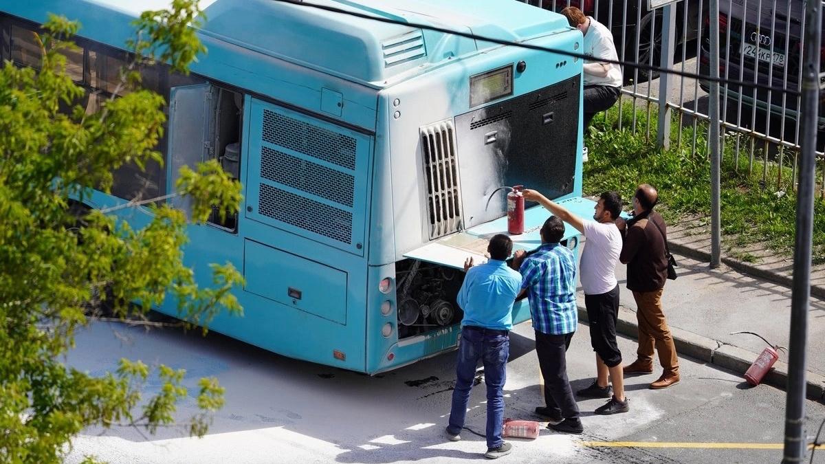 Фото: vk.com/vestystrelnu