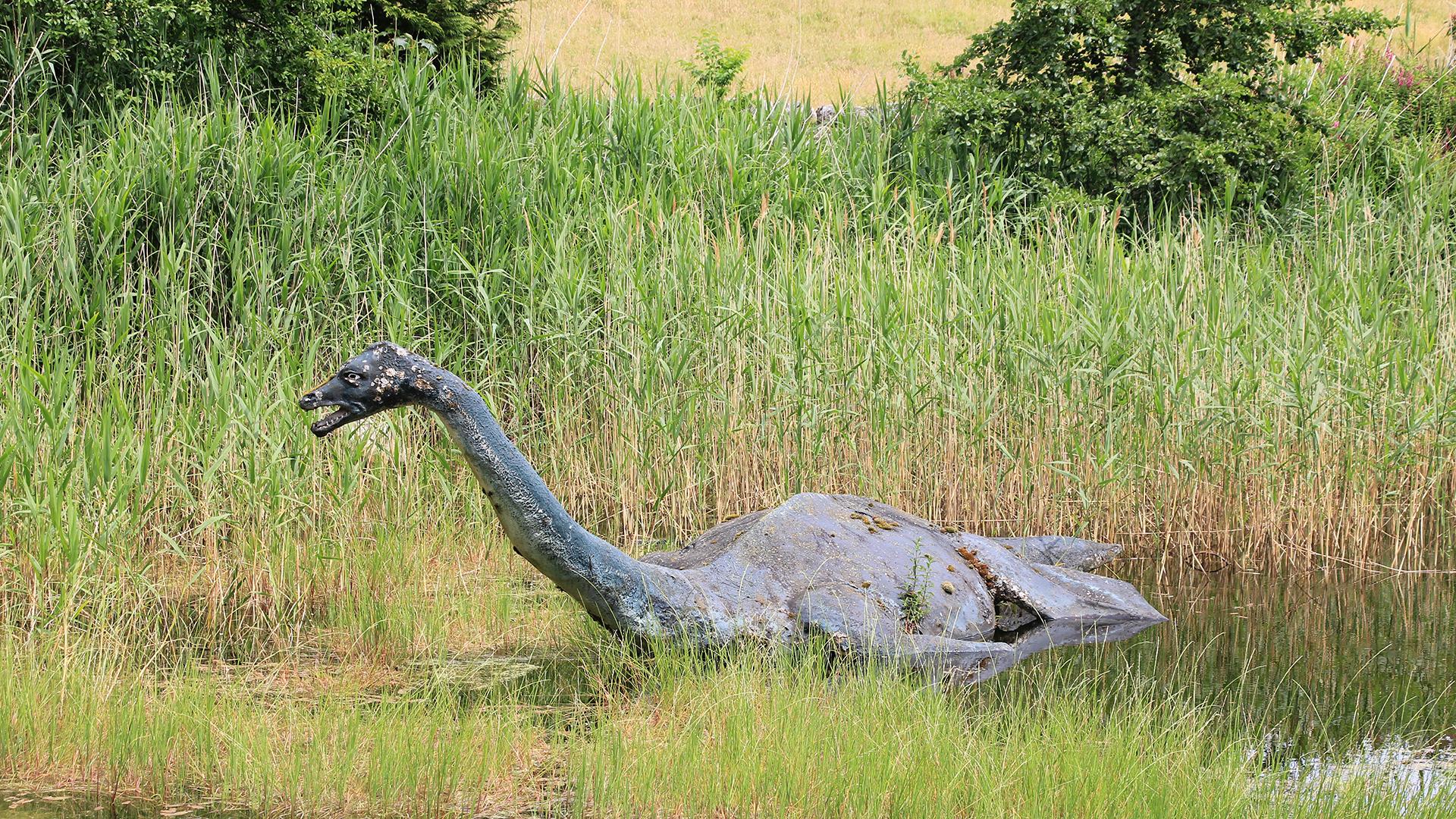 Скульптура чудовища в Loch Ness Centre/ Фото: Silvia Kusidlo/globallookpress.com