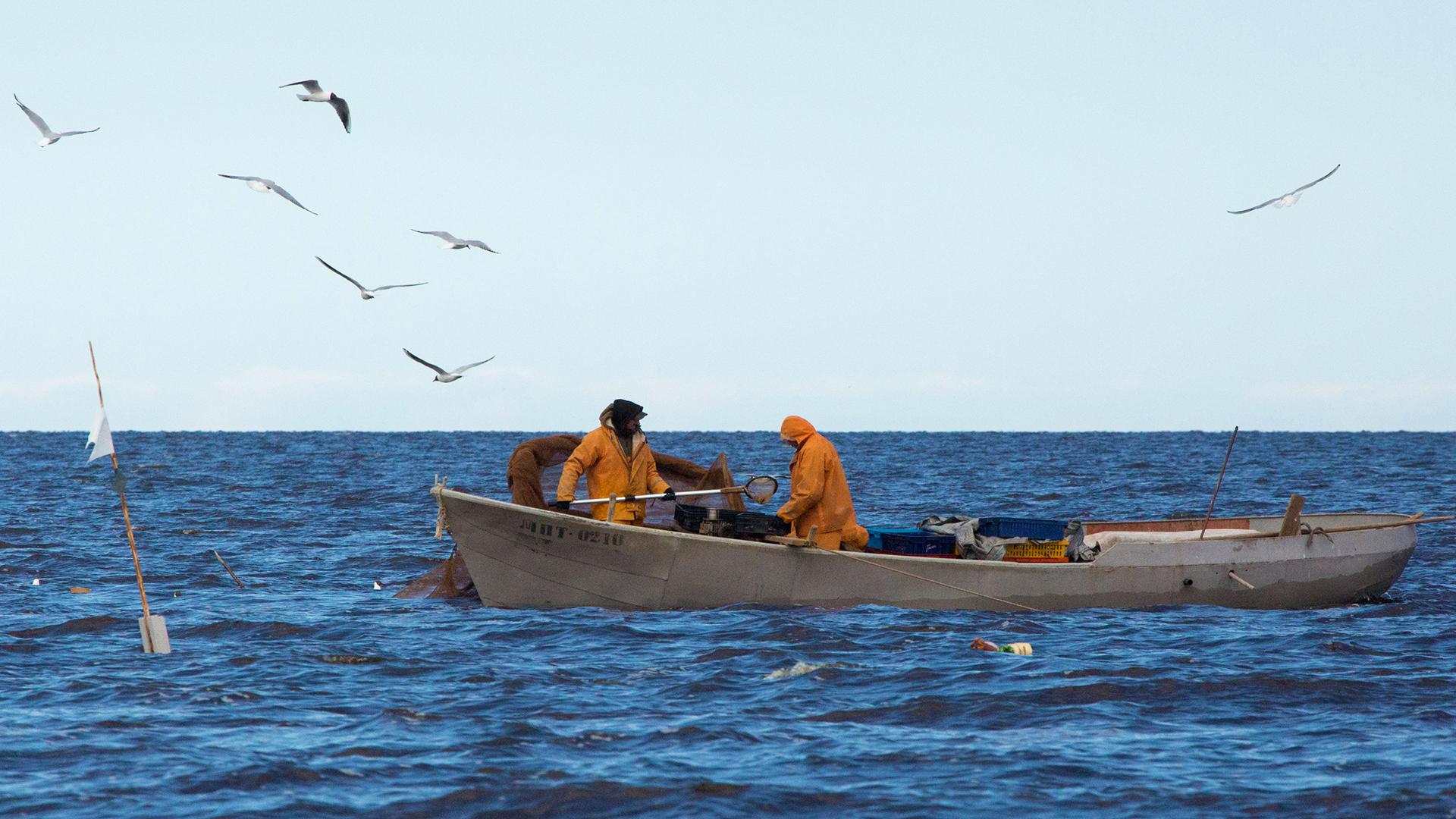 Фото: Irina Motina/globallookpress.com