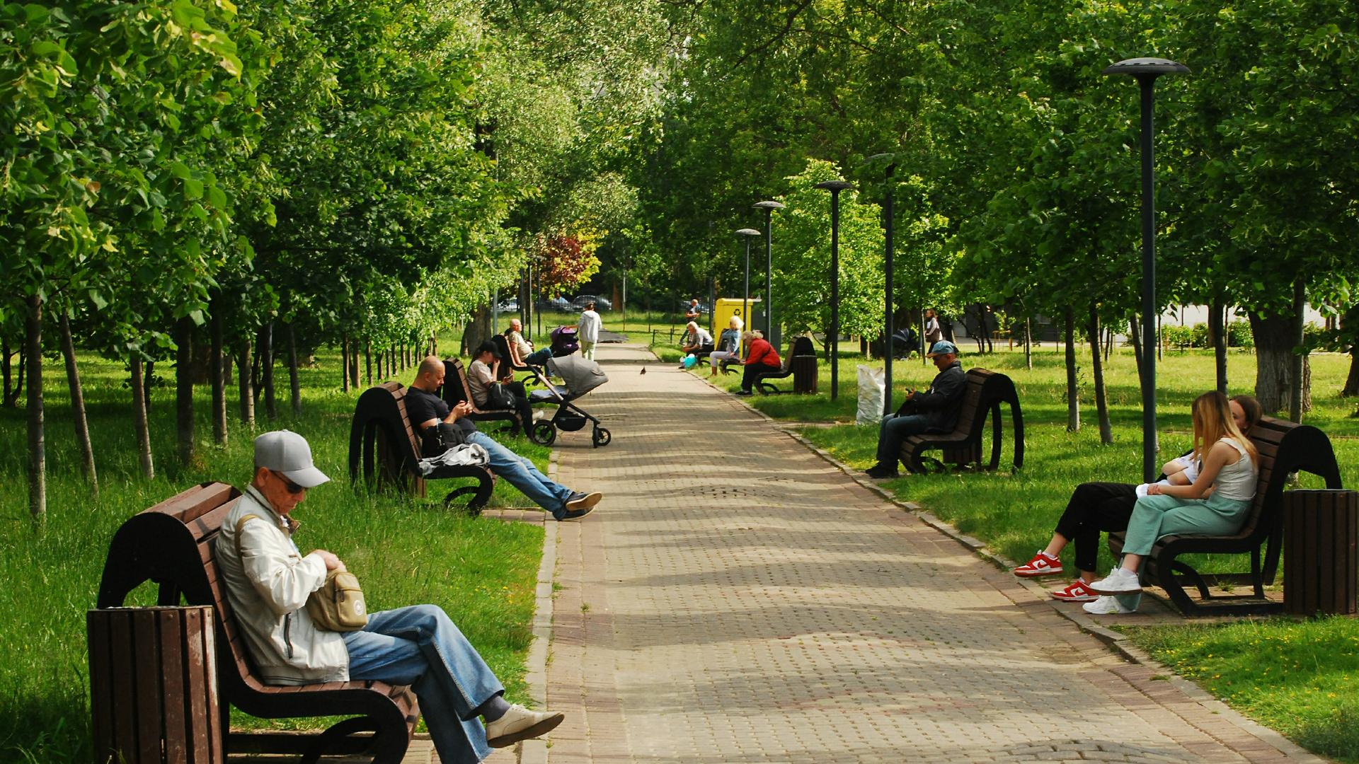 В Петербурге дали названия шести безымянным скверам