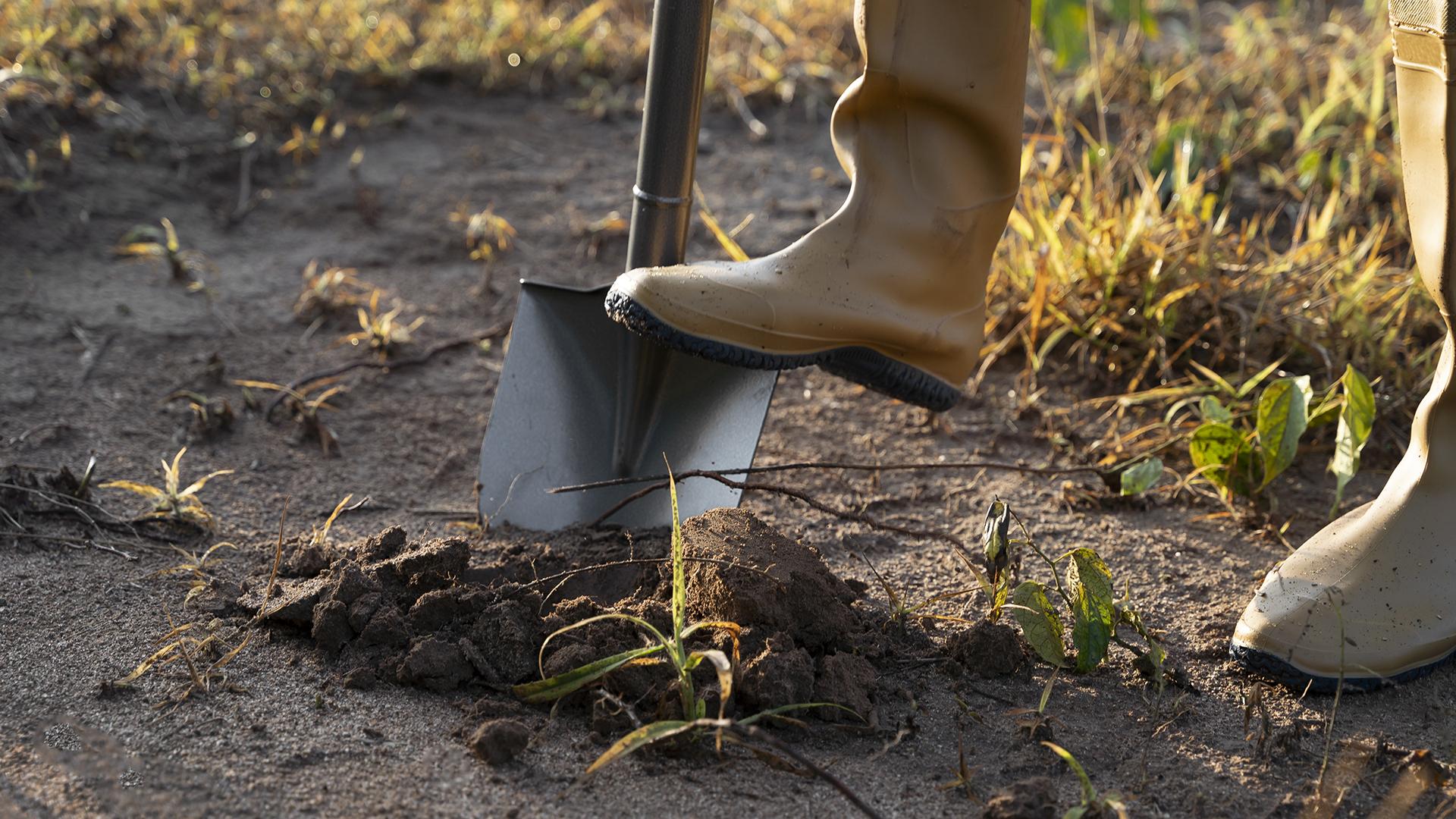 Фото: freepik.com