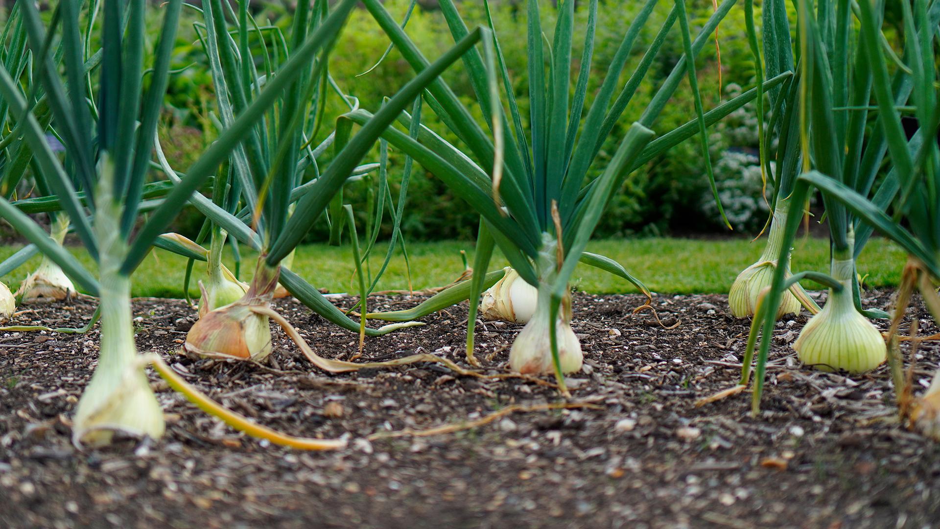 Фото: unsplash.com