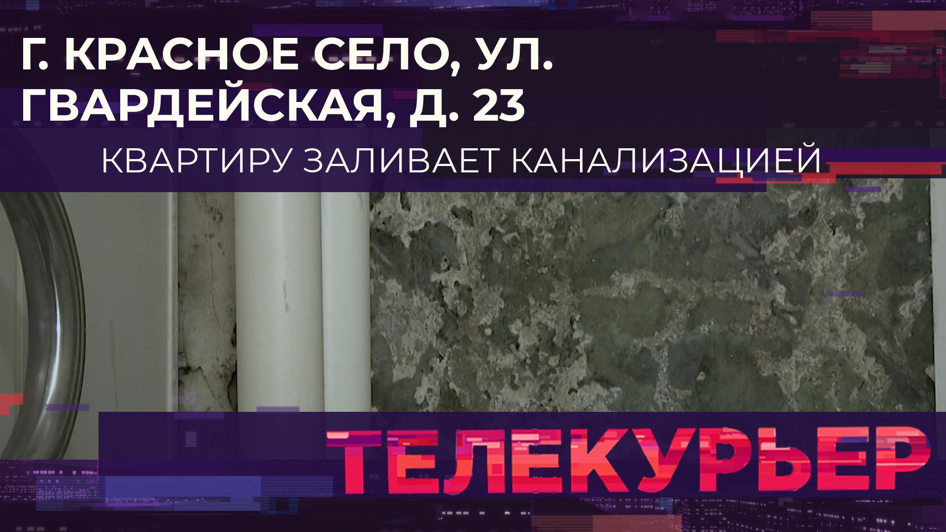 «Телекурьер» (24 августа 2023)