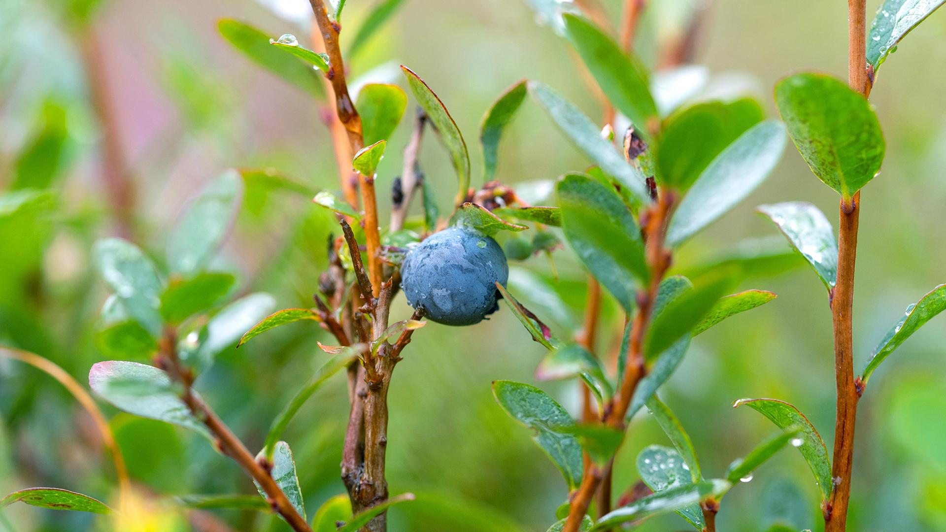 Фото: Farina Graßmann/globallookpress.com