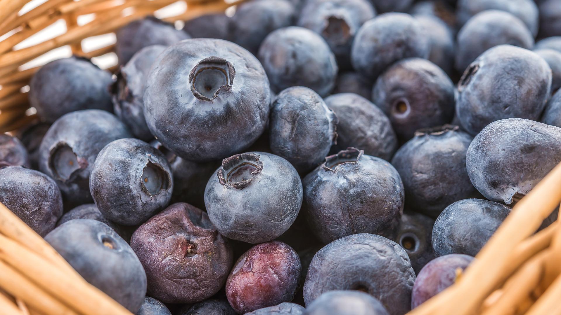 Фото: freepik.com/lifeforstock