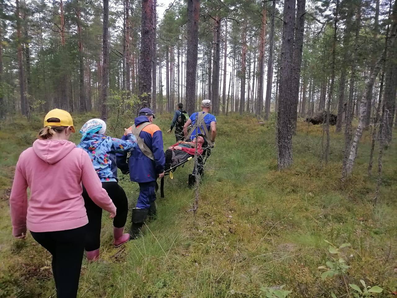 Спасатели вытаскивали из болота грибника, пропавшего в лесу Ленобласти два  дня назад