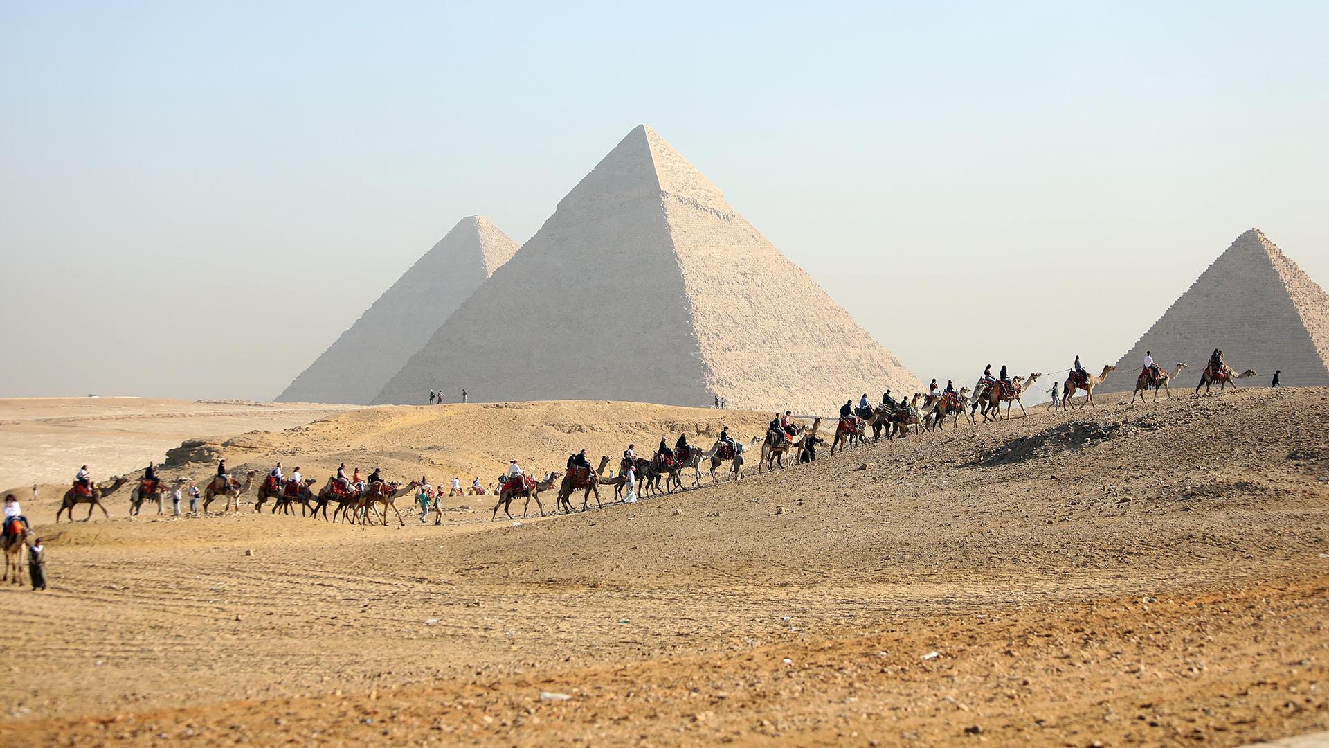 Фото: Ahmed Gomaa/globallookpress.com