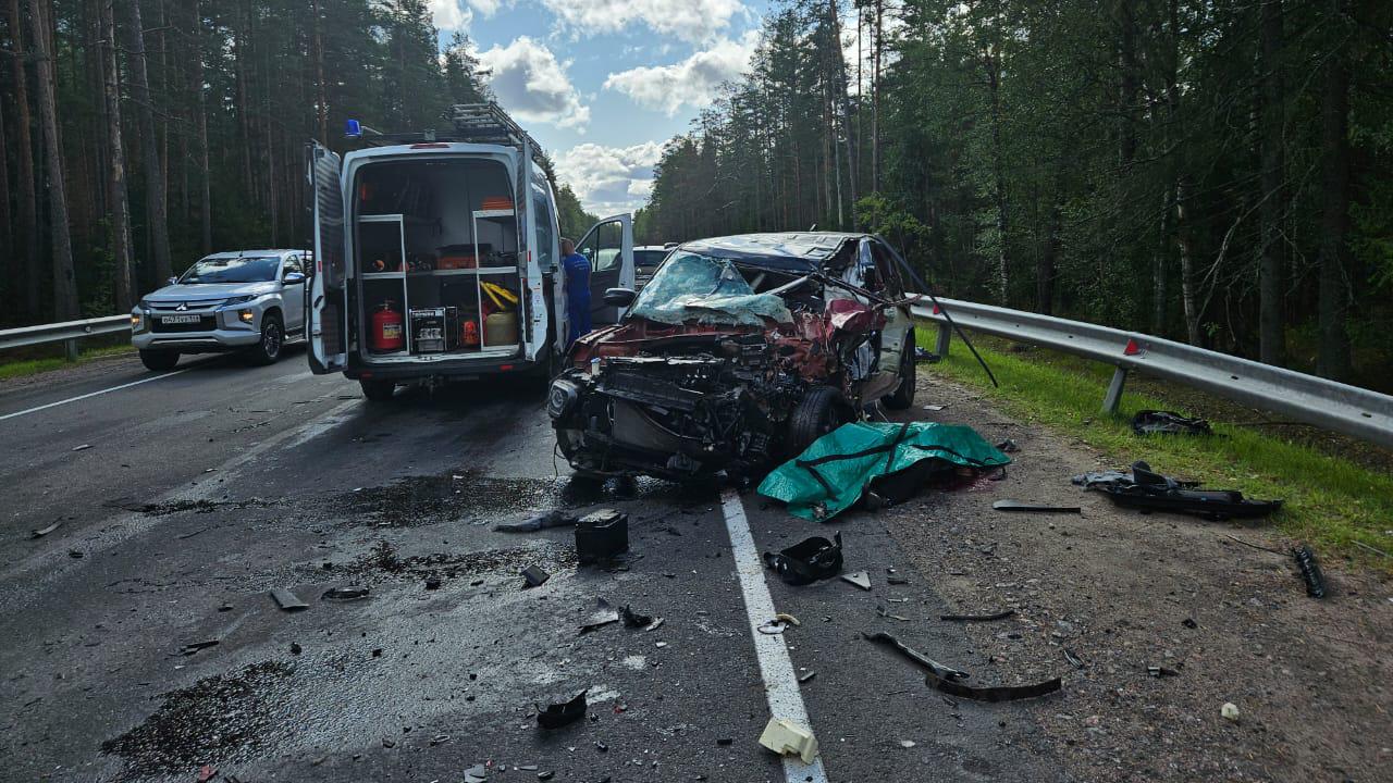 Двое погибли в результате массового ДТП на трассе в Приозерском районе