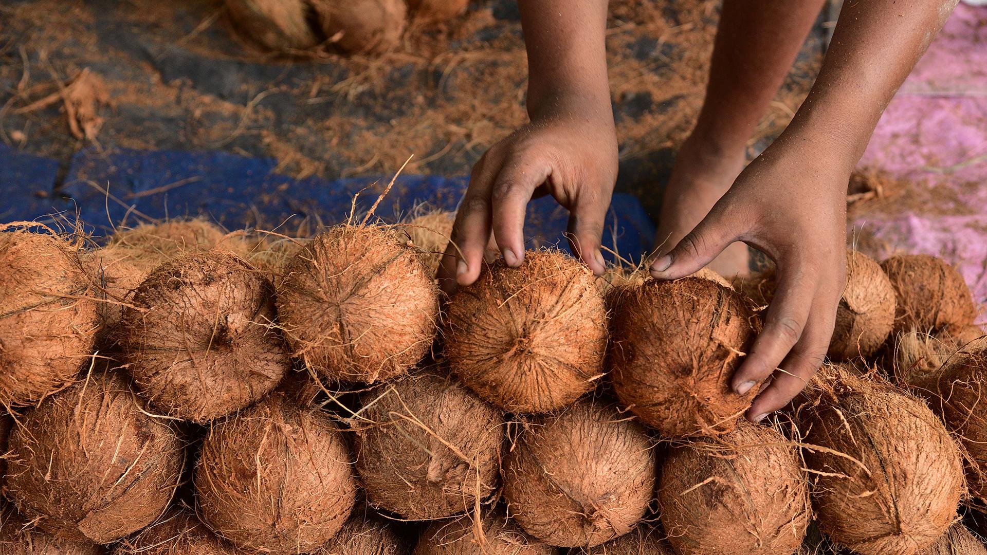 Фото: Javed Dar/globallookpress.com