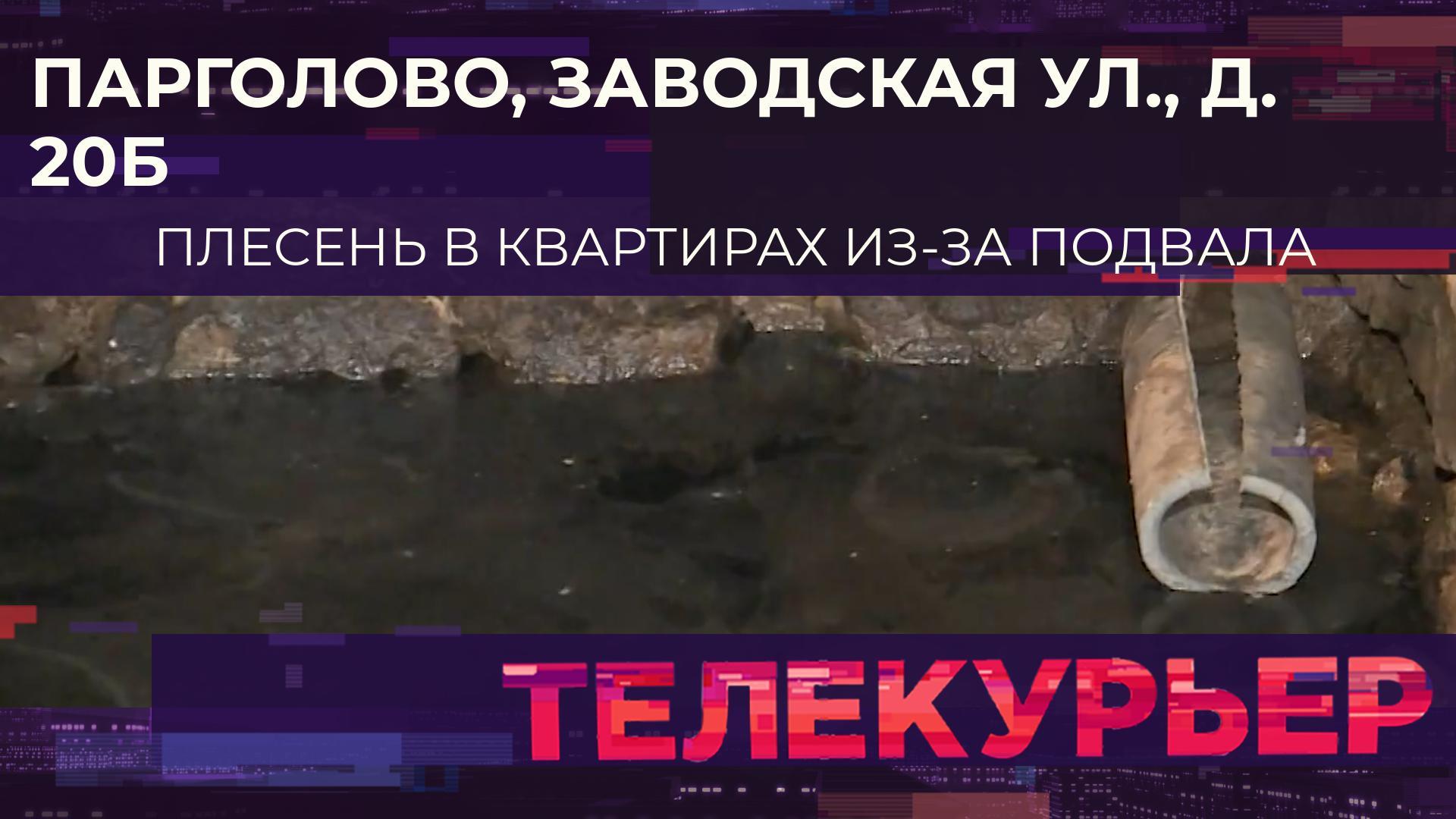 «Телекурьер» (29 сентября 2023)