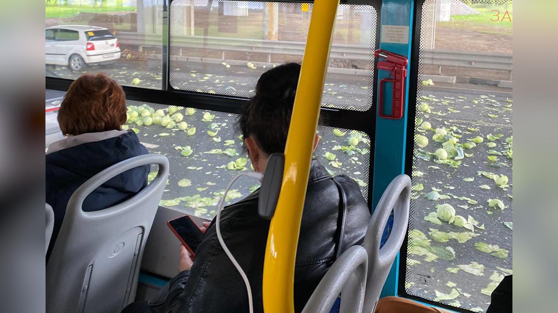 Фото: t.me/Megapolisonline