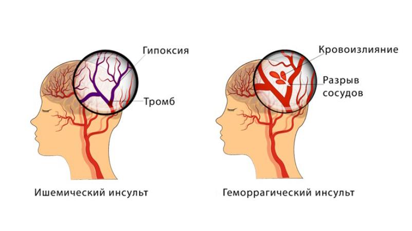 Фото: соцсети