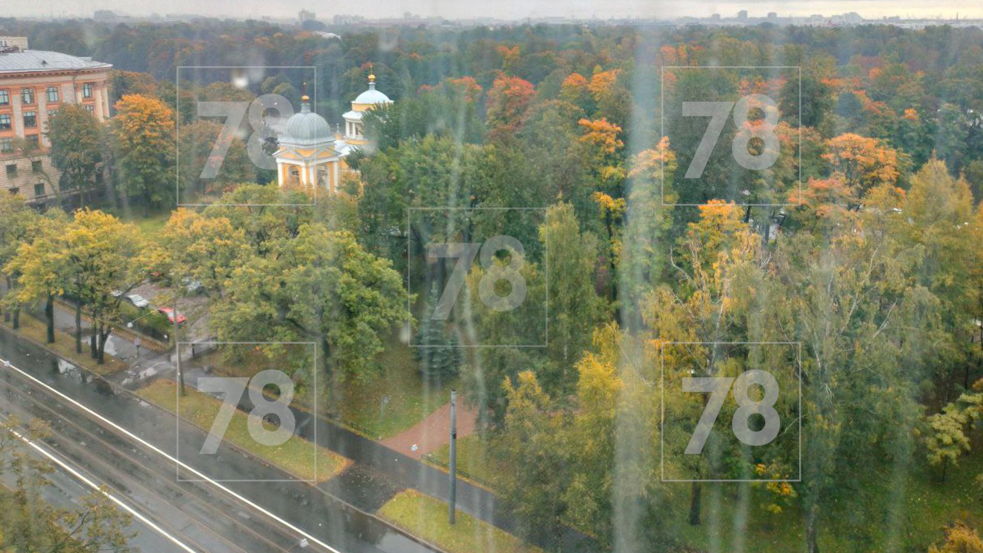 Фото: 78.ru