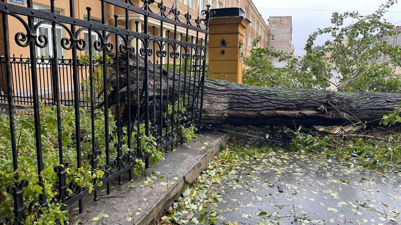 Ураган в Москве сносит деревья: что известно о погибших и пострадавших. Фото, видео