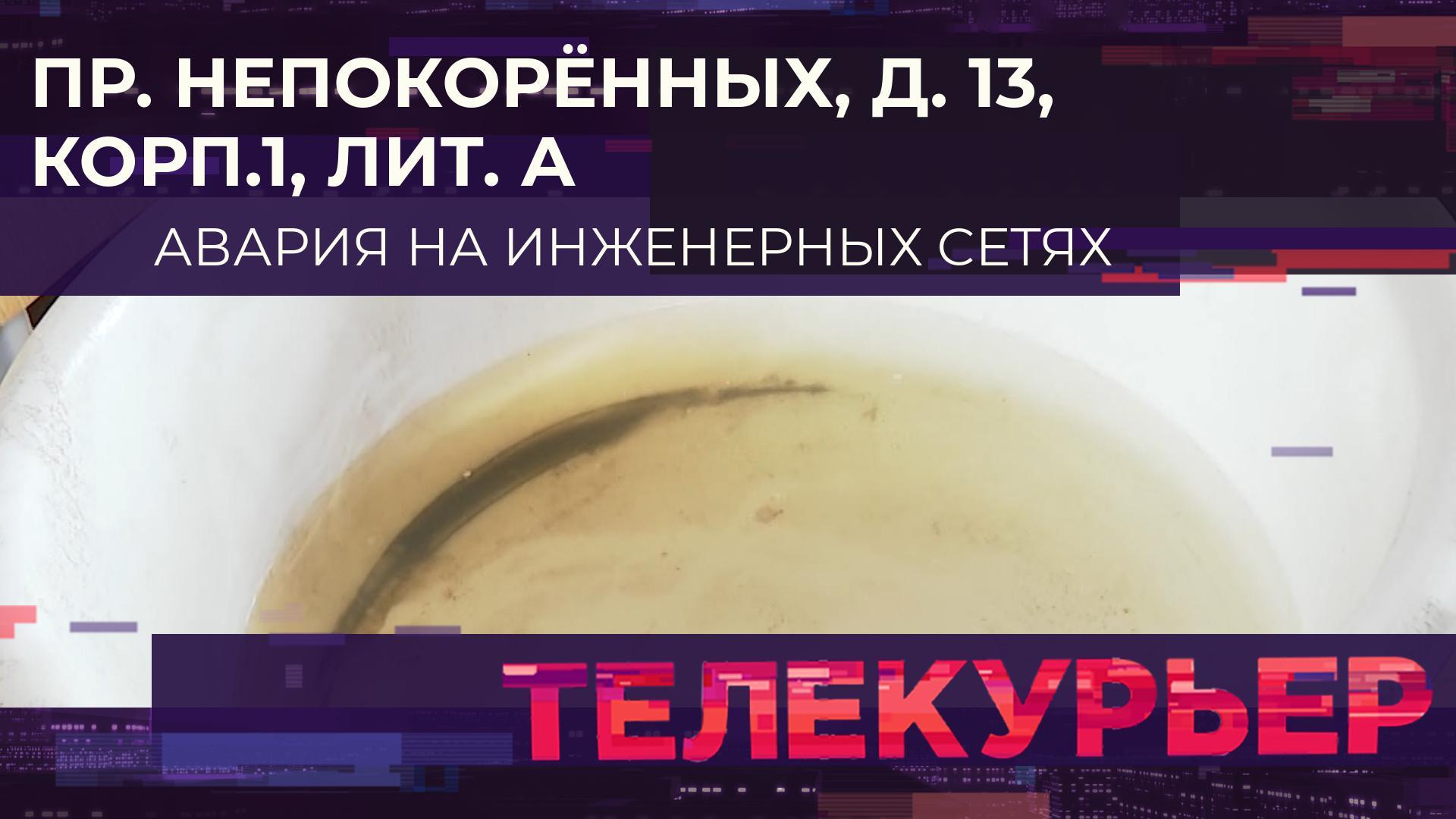 «Телекурьер» (9 октября 2023)