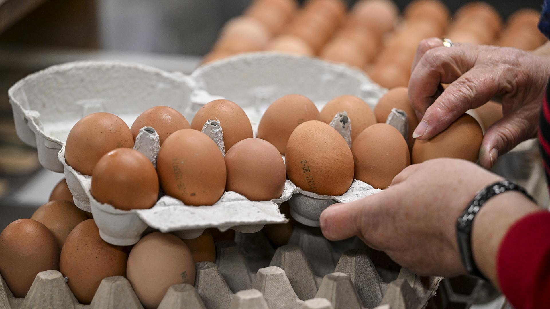 Яйца: польза и вред для мужчин и женщин, калорийность, как хранить