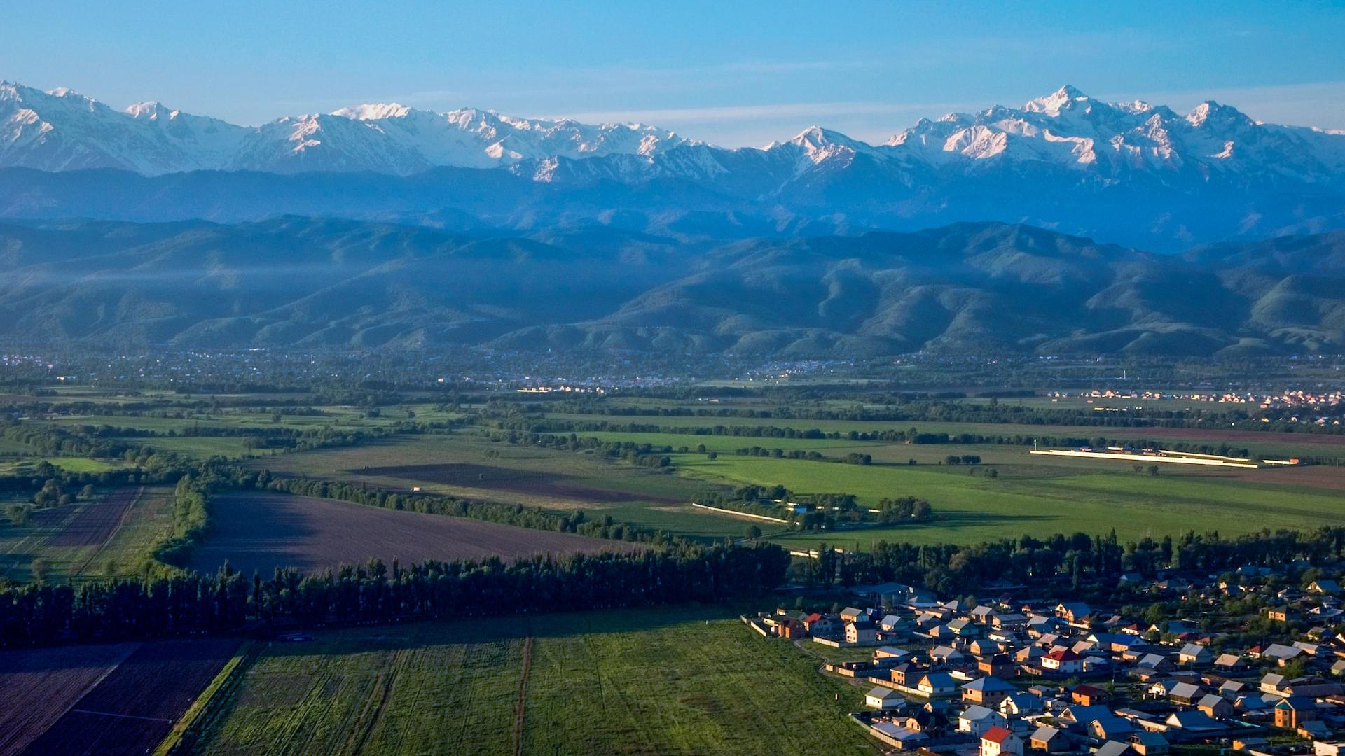 Фото: unsplash.com