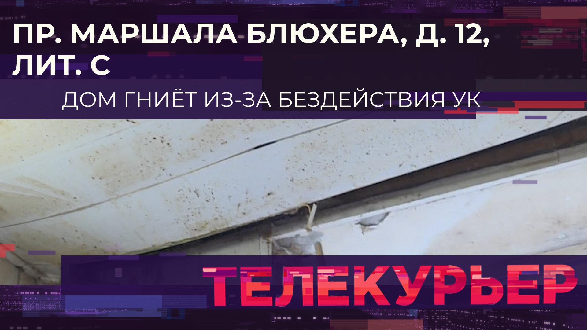 «Телекурьер» (7 ноября 2023)