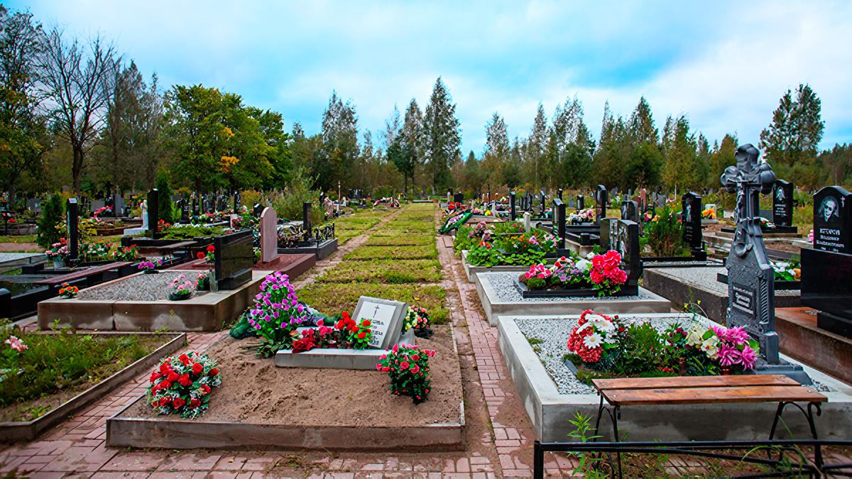 План ковалевского кладбища в спб подробный