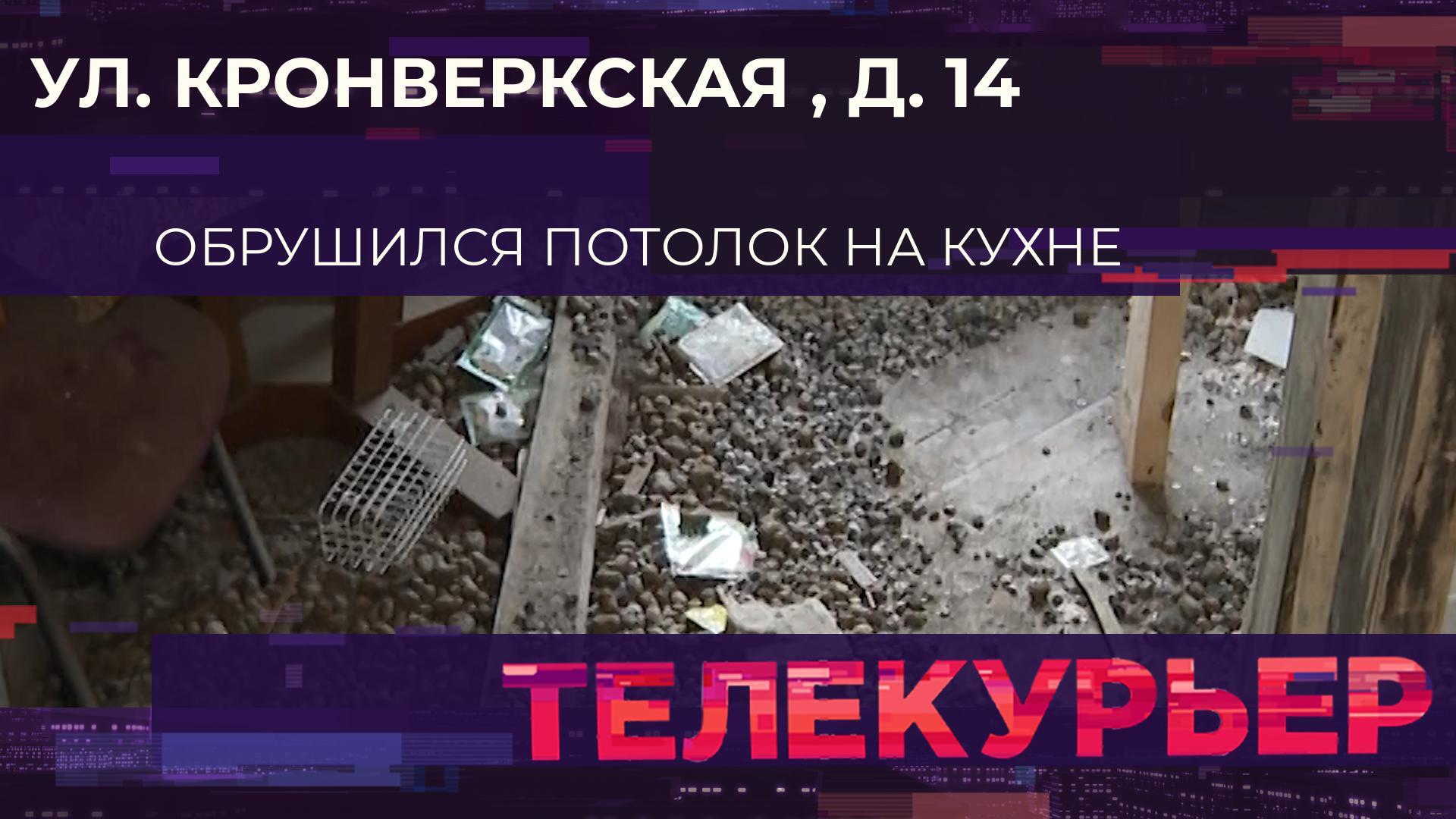 «Телекурьер» (10 ноября 2023)