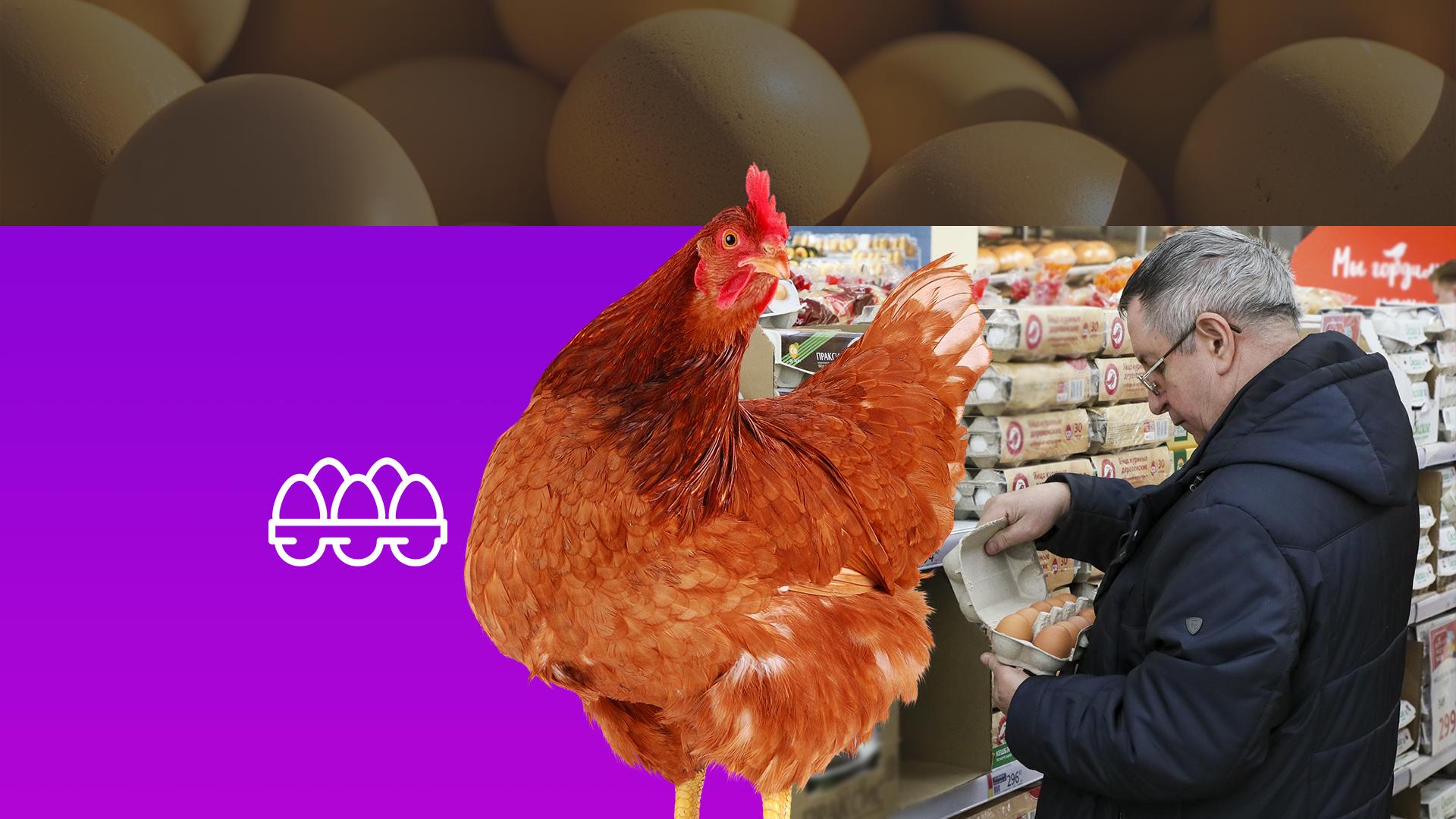 Удар по яйцам: почему куриные яйца становятся дефицитом?