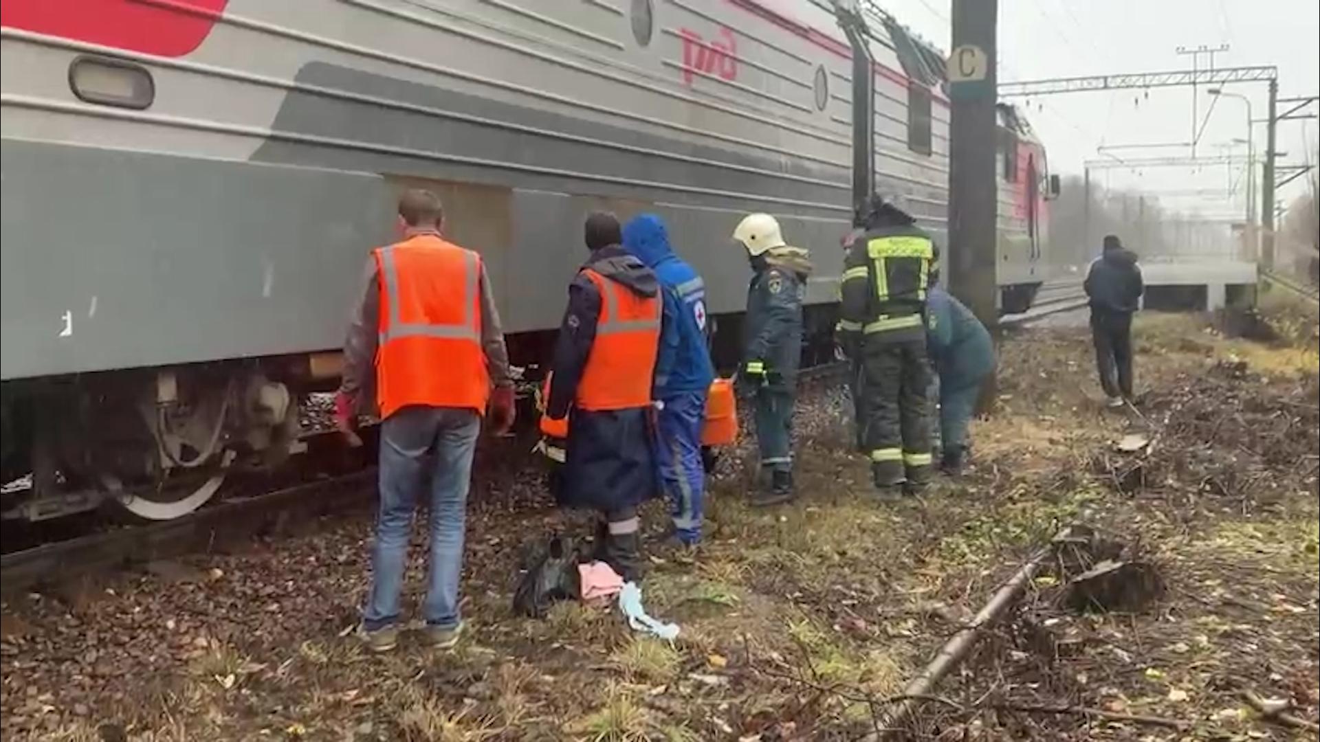 Грузовой поезд насмерть сбил женщину под Волховом