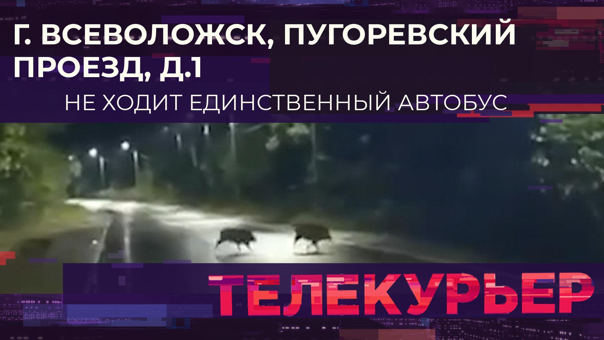 «Телекурьер» (14 ноября 2023)