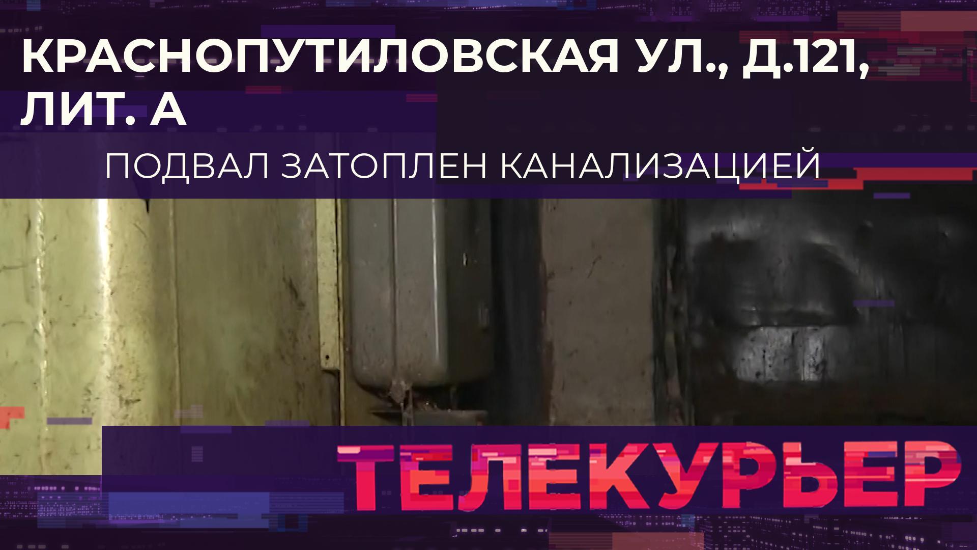 «Телекурьер» (21 ноября 2023)