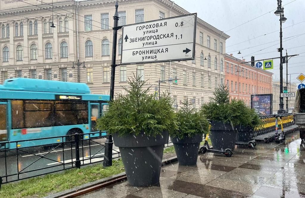 Фото: vk.com/kb_spb