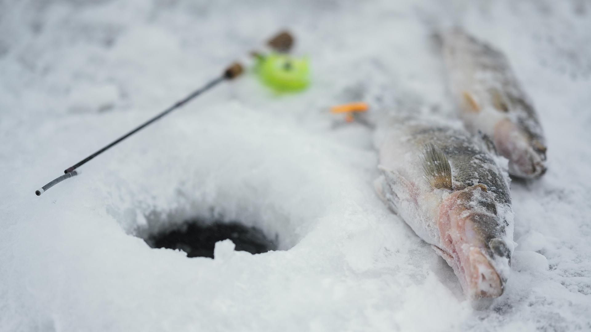 Что надо знать о рыбалке по первому льду под Петербургом