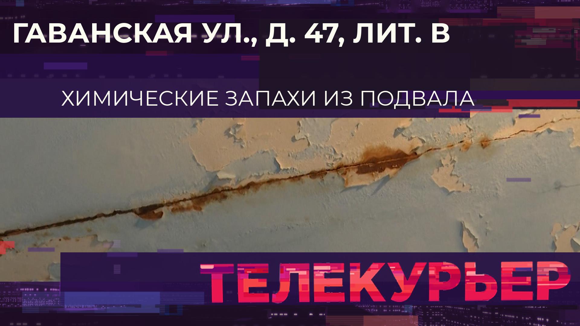 «Телекурьер» (24 ноября 2023)