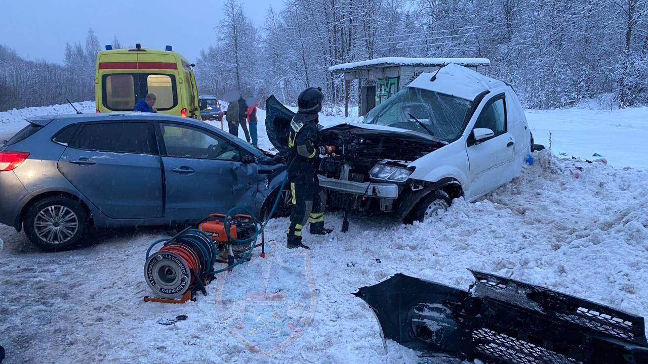 Спасателям пришлось доставать человека из покорёженной машины в Шапках