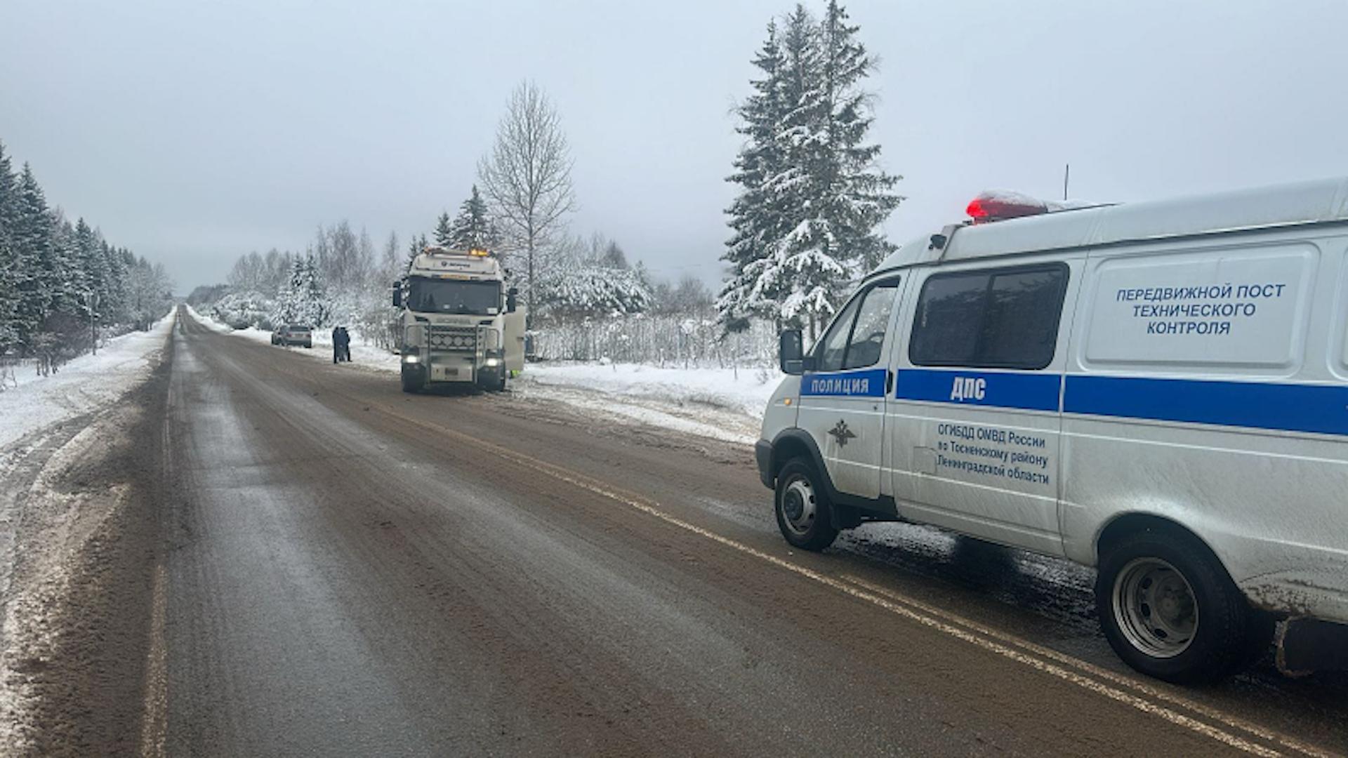 Фото: Фото: пресс-служба ГУ МВД России по г.Санкт-Петербургу И Ленинградской области