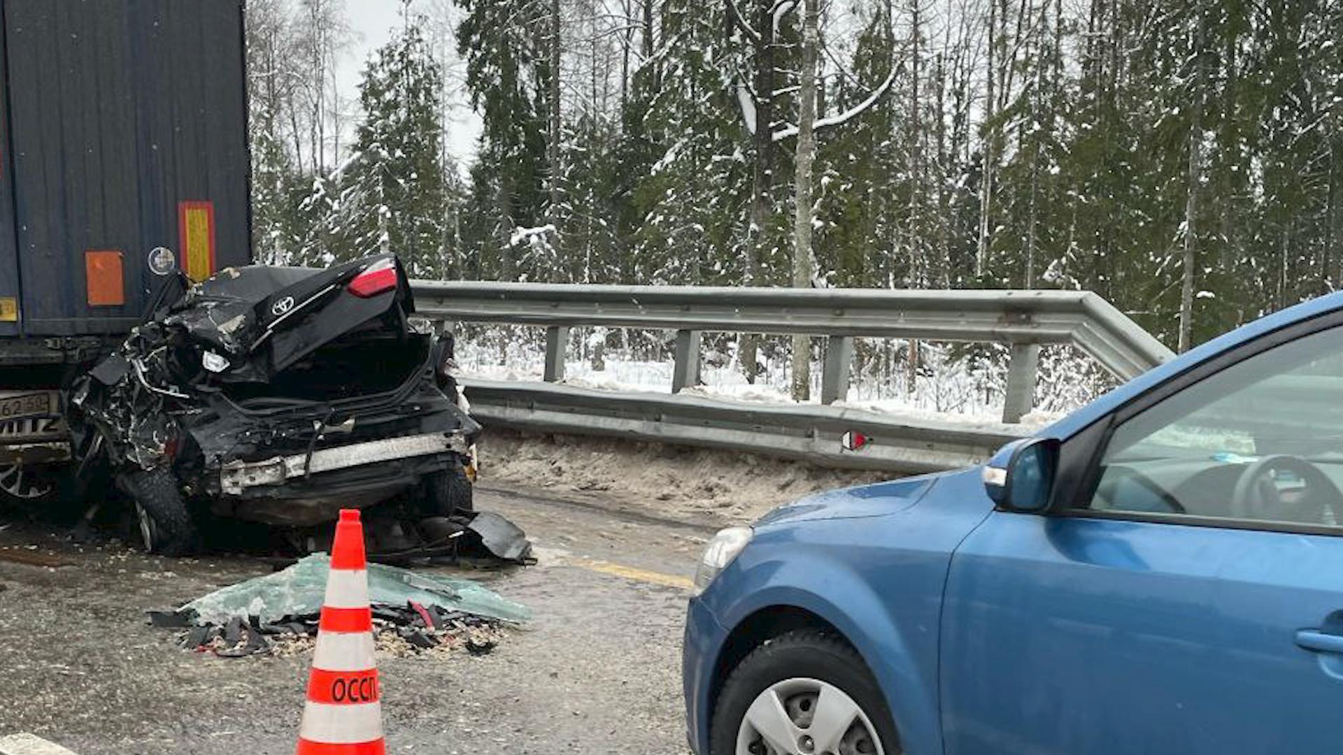 На трассе М-11 легковушка впечаталась в грузовик, чудом все остались живы