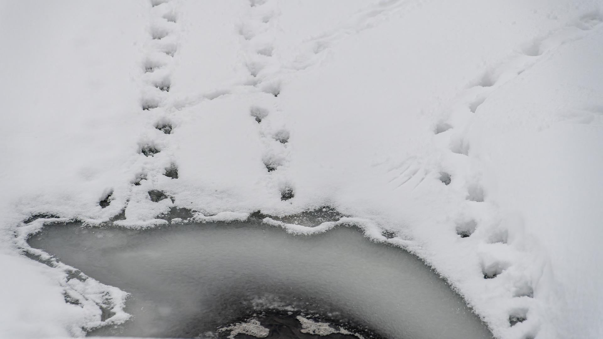 Утопающая украина. Прорубь. Сибирь снег. Снег в Новосибирске. Снег в апреле из окна.
