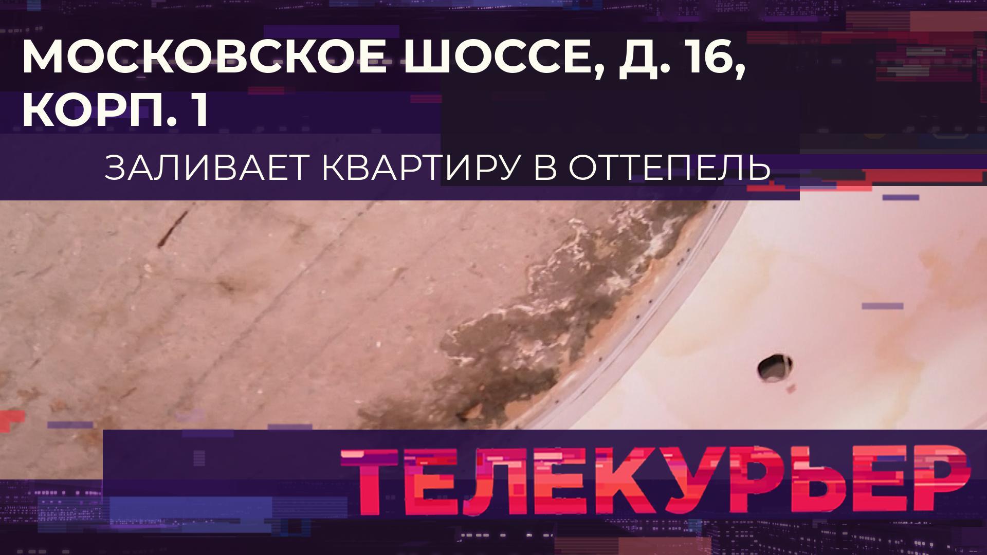 «Телекурьер» (12 января 2024)