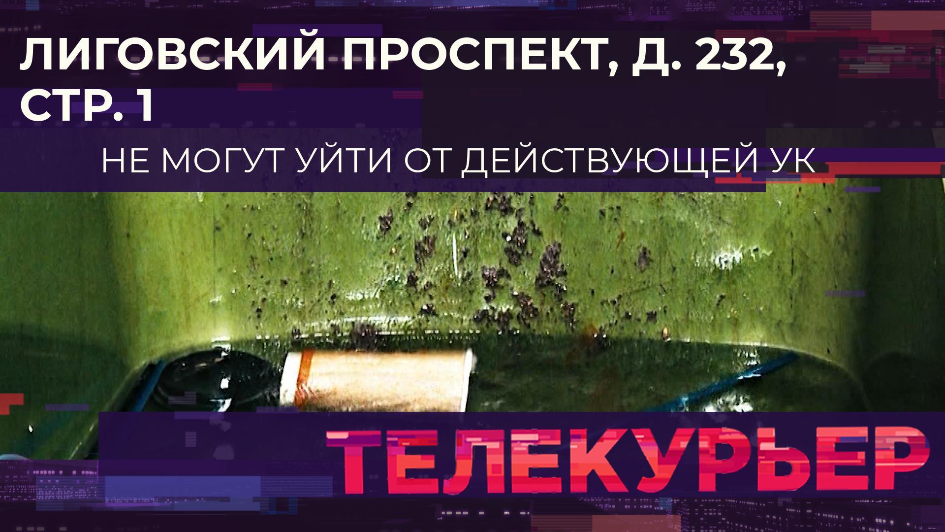 «Телекурьер» (19 января 2024)