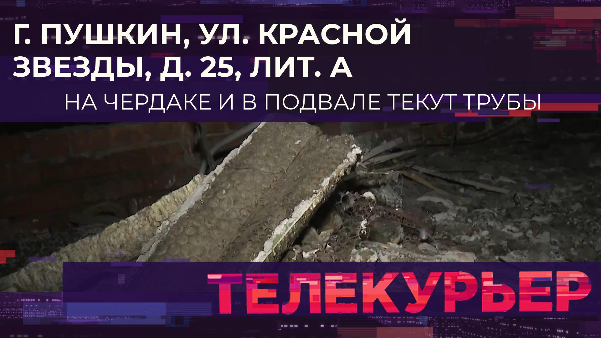 «Телекурьер» (22 января 2024)