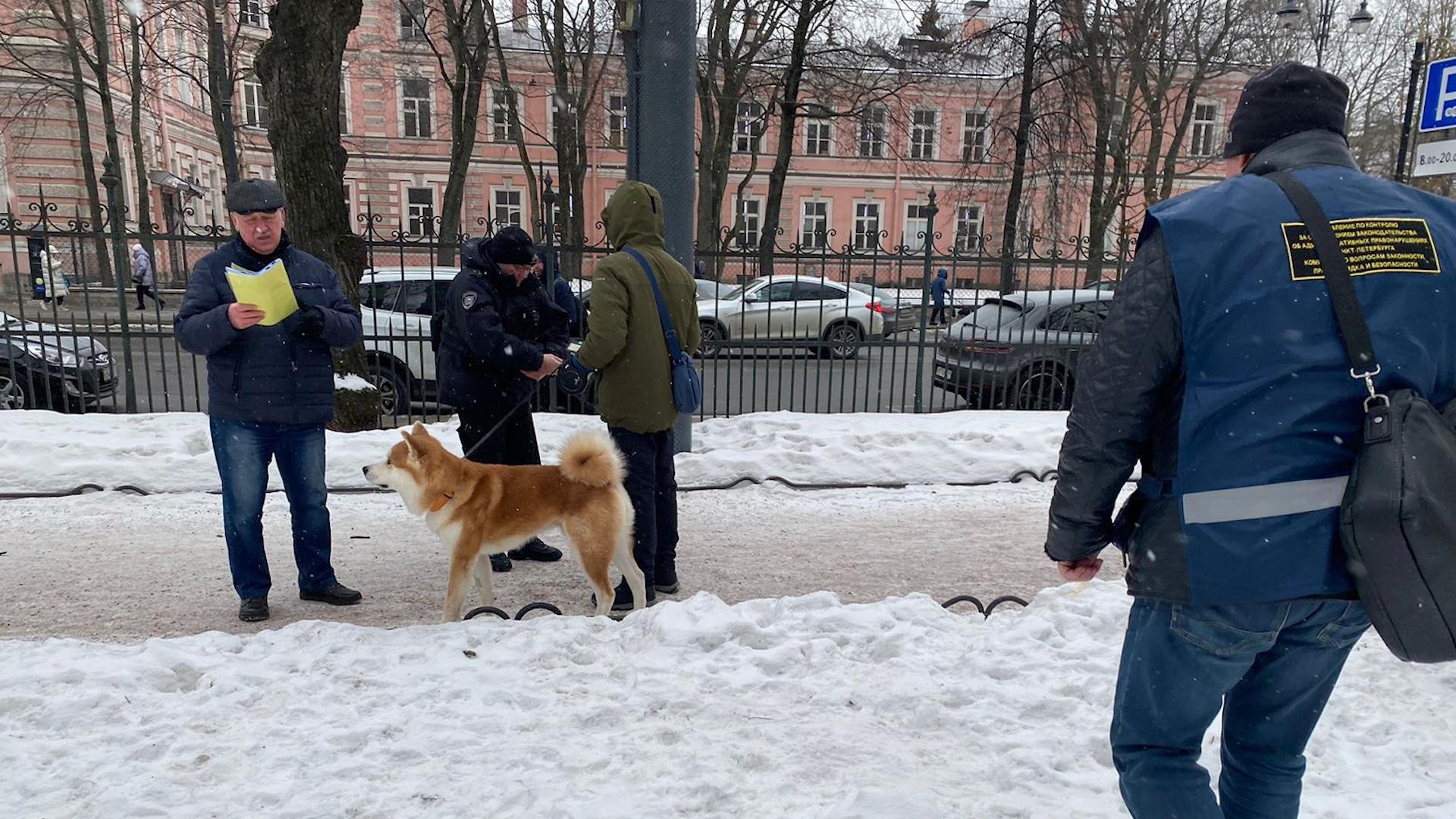 Петербуржцев оштрафовали за неправильный выгул собак в центре города