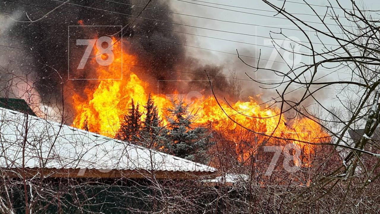 Жилой дом охватило ярким пламенем в Сестрорецке – видео