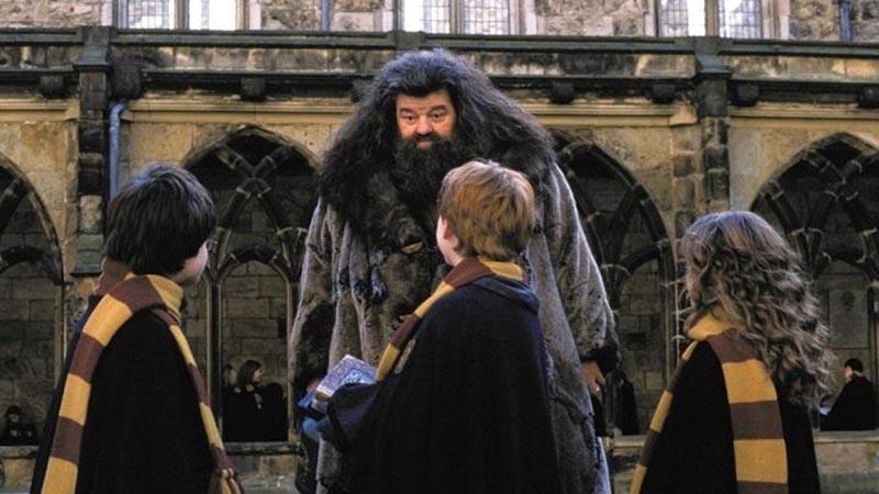 Фото: kino-teatr.ru