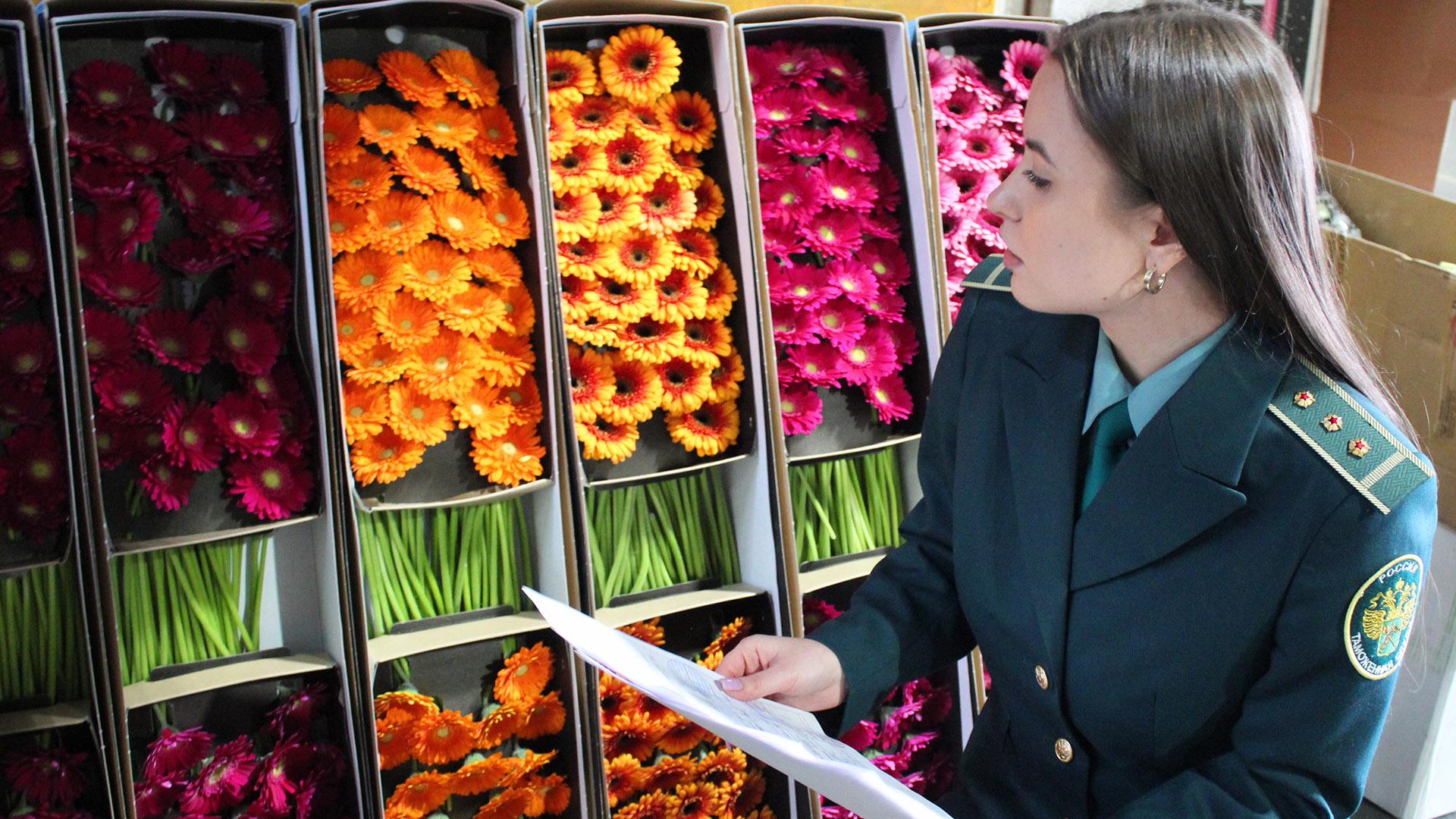 78.ru | Официальный сайт телеканала | Новости политики, экономики, общества, происшествия в Санкт-Петербурге