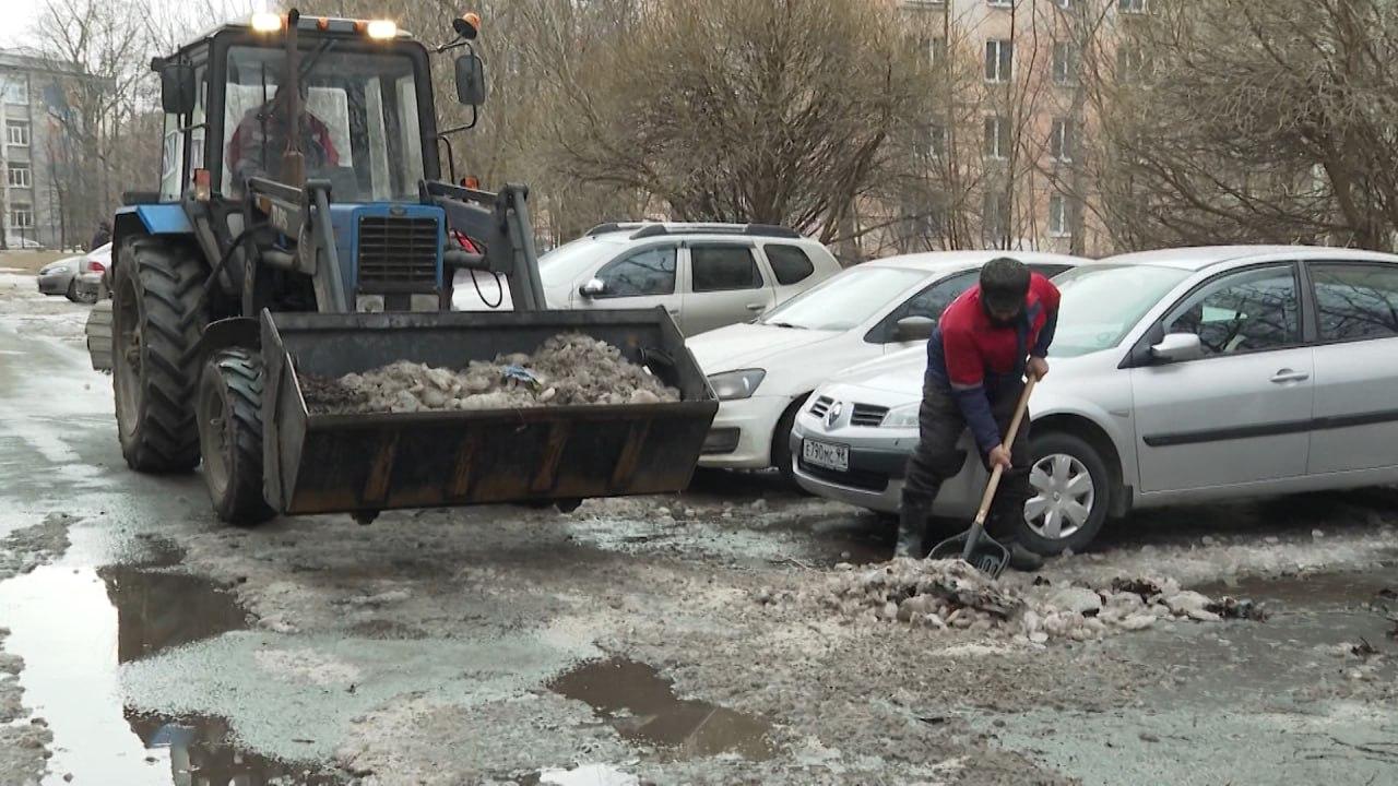 Мусор, листья и пыль в лицо: почему петербуржцы снова жалуются на качество  весенней уборки