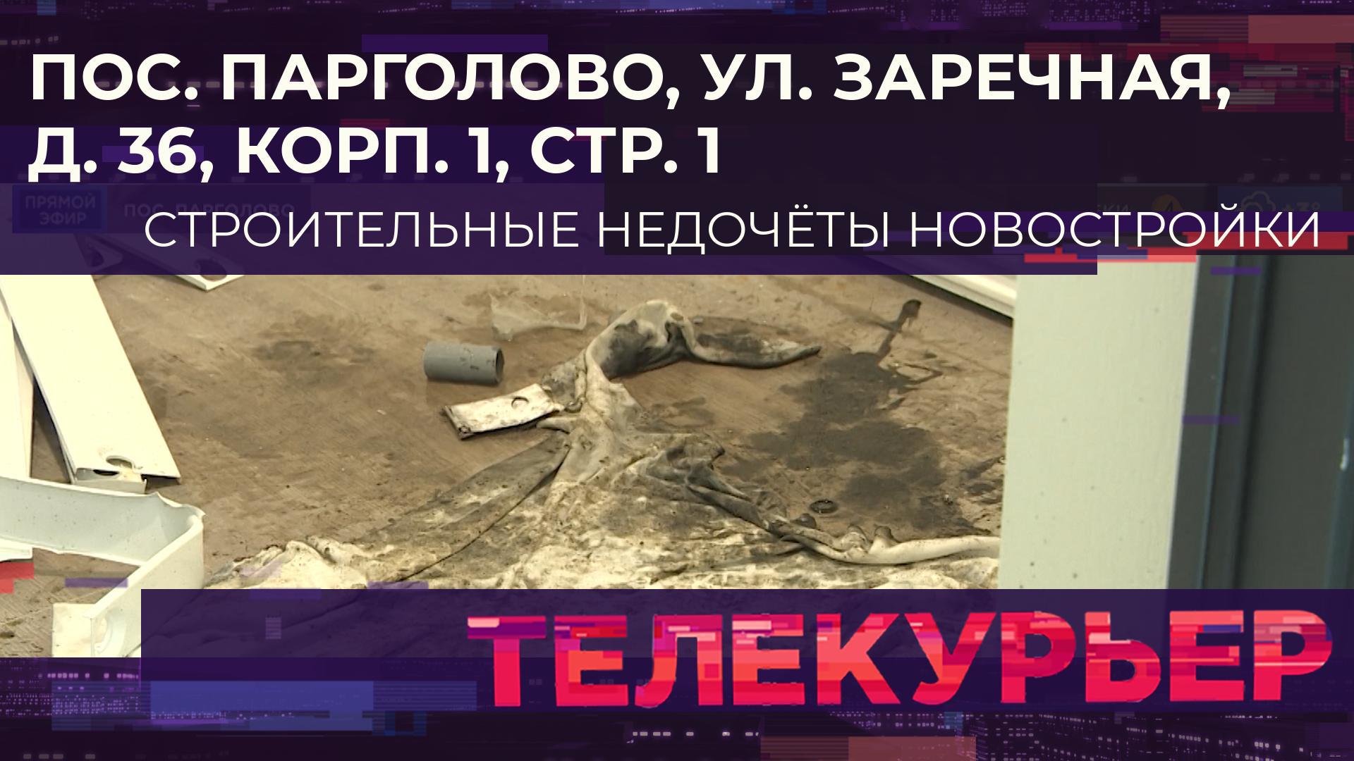 «Телекурьер» (19 марта 2024)