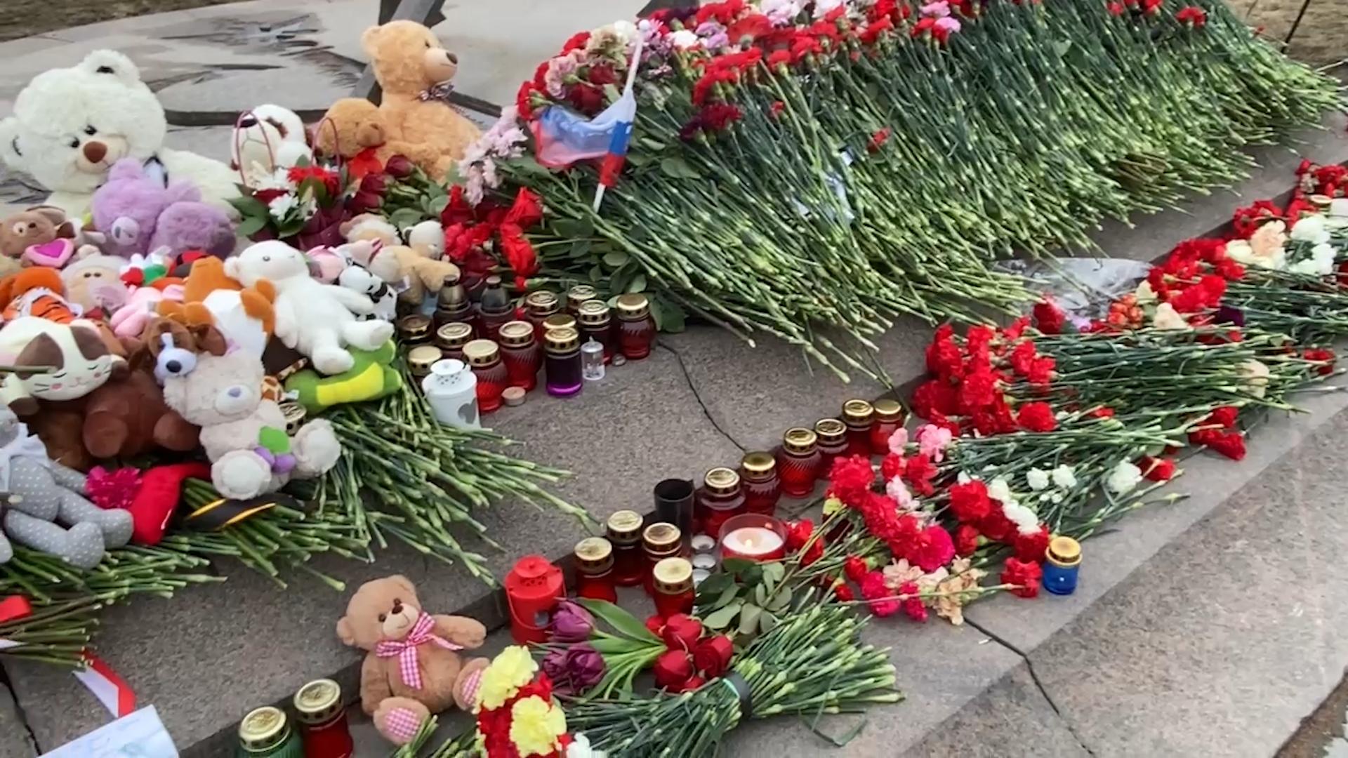 Цветок крокус в память о жертвах теракта