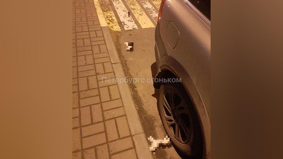 Фото: vk.com/molodoipeterburg