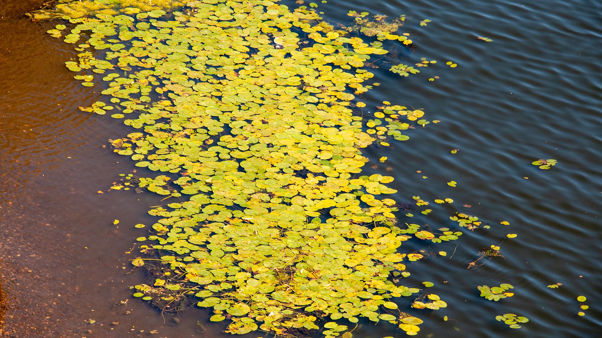 Фото: Svetlana Vozmilova/globallookpress.com