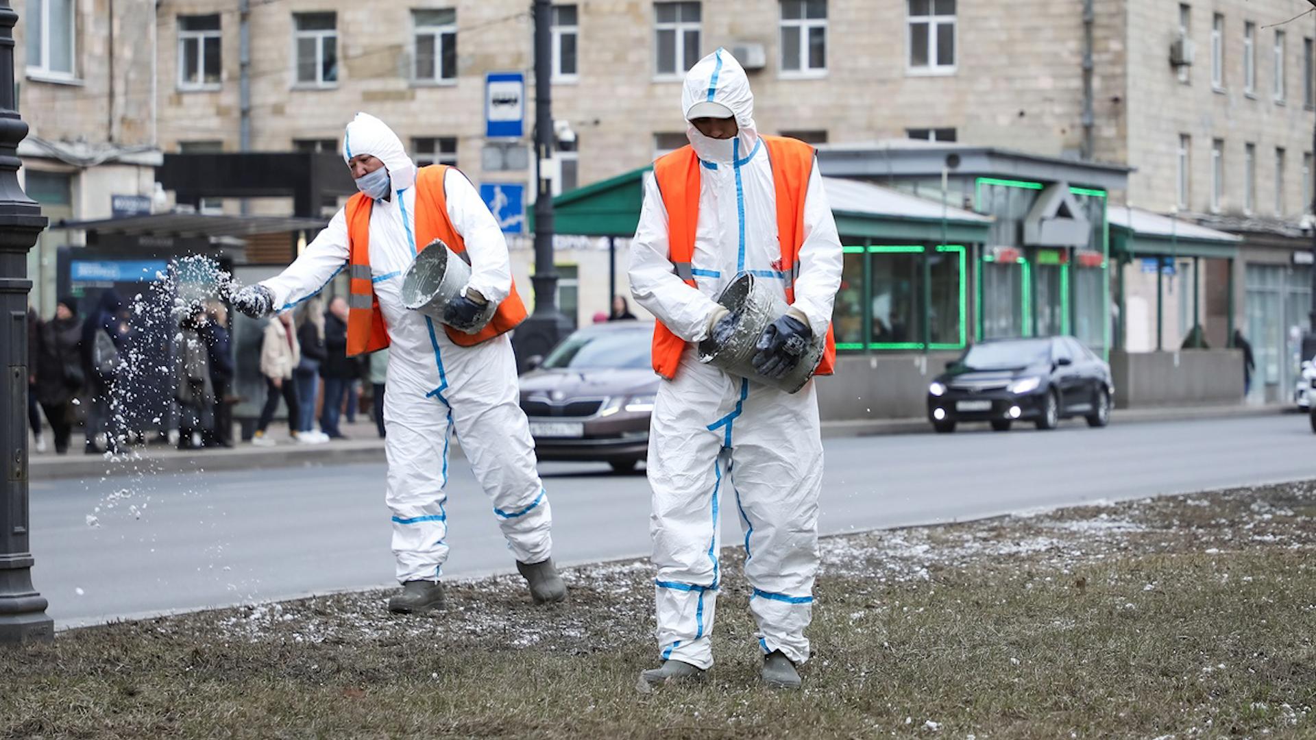 Газон на Московском проспекте оздоровили белым порошком