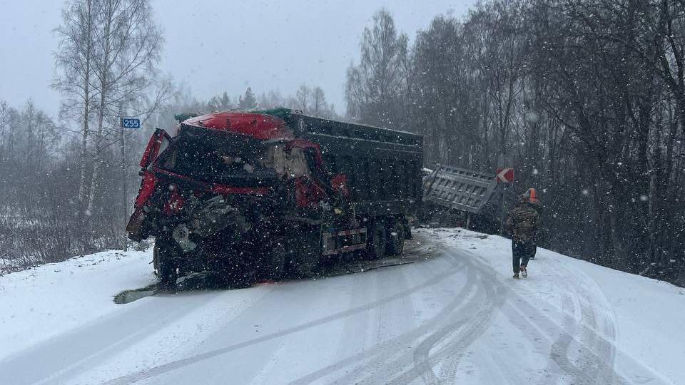 Фото: соцсети